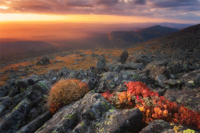 урал,горы,осень,золото,конжак,иовское плато,яркое,закат,небо,тайга,камни,лиственница, Осень в Уральских горах...photo preview