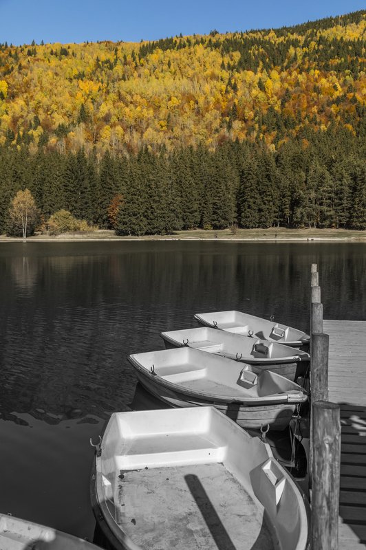 autumn landscape beautiful photography frame canvas The autumnphoto preview