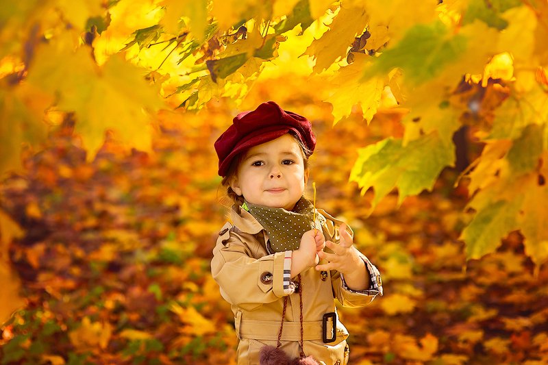 Нарисовано осеньюphoto preview