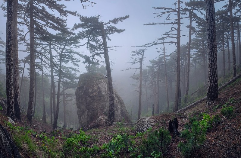 крым, ай-петри, ялта, пейзаж, туман, горы, сосны, валун, Крымские мотивы фото превью