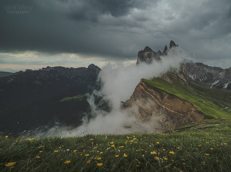 seceda, dolomites Seceda 2500photo preview