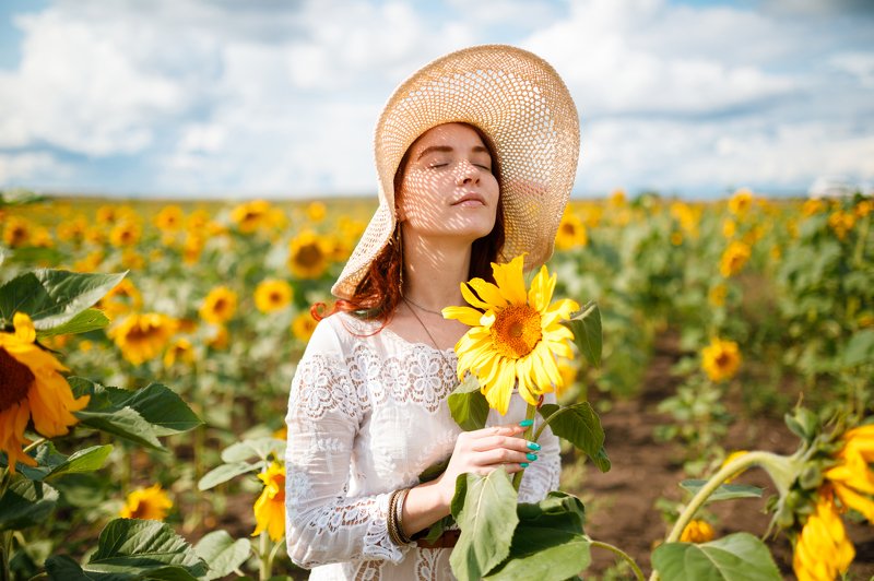 Подсолнухиphoto preview