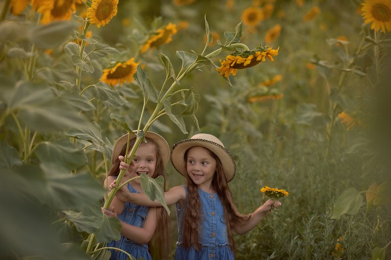 детский портрет, дети, детская фотография, подсолнухи, в подсолнухах, девочка Два подсолнухаphoto preview