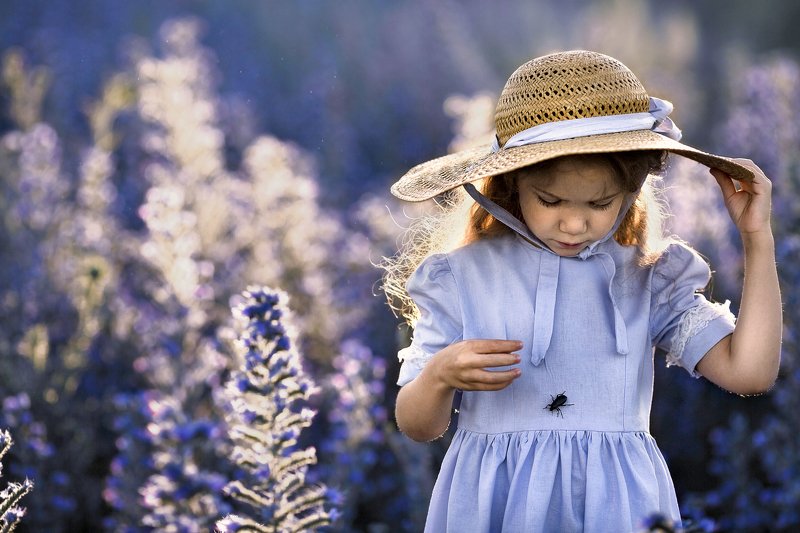 жук оленьphoto preview