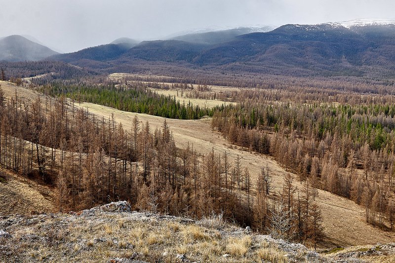 южный, урал, губерля орск, новотроицк, алтай, актру, ледник Ранняя Весна на Алтае!photo preview