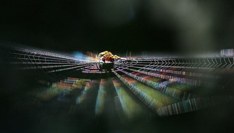 Диджейphoto preview