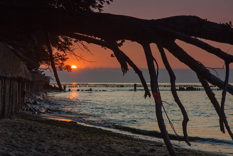 Балтикаphoto preview