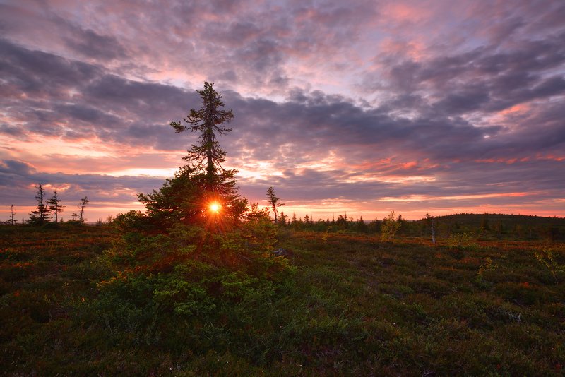 Финские белые ночи....photo preview