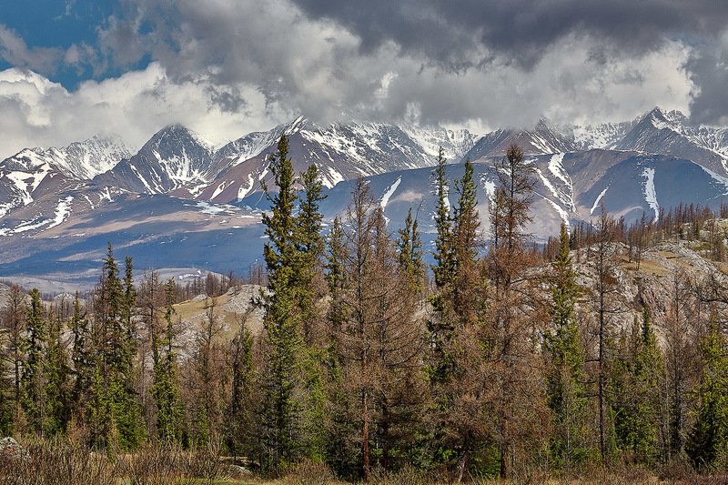 южный, урал, губерля орск, новотроицк, алтай, актру, ледник Весна на Алтае!photo preview