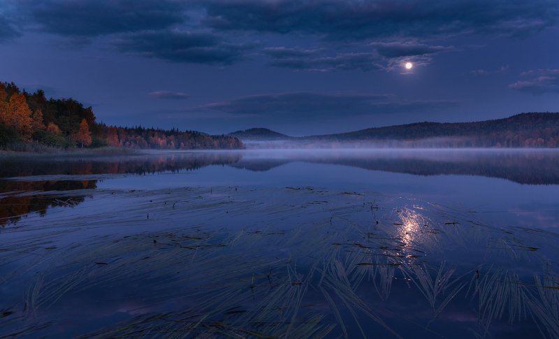 Сумерки осениphoto preview