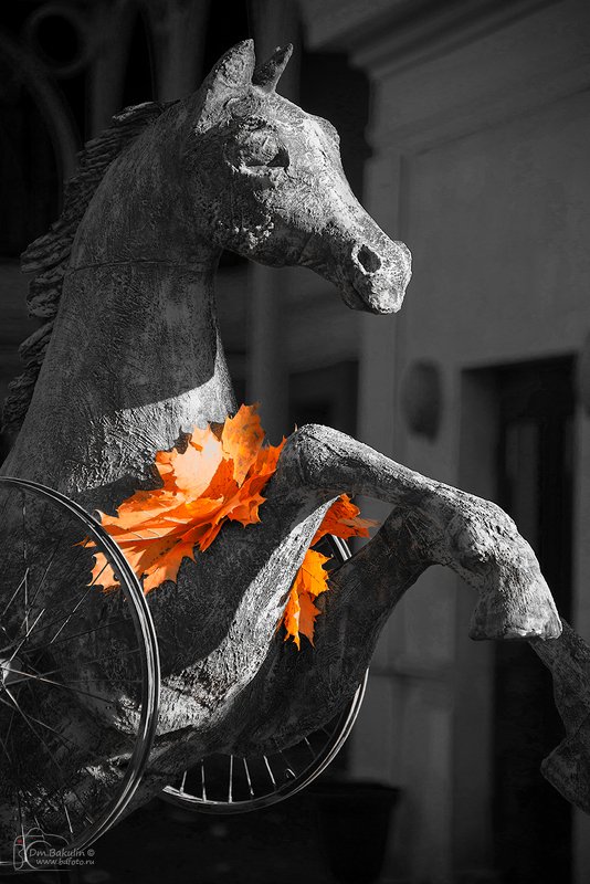 конь Конь осенний педальныйphoto preview