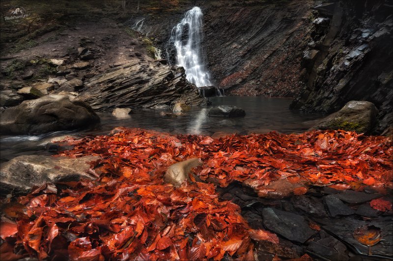 карпаты, водопад гук, осень, урочище женец, водопад женецкий гук, украина, Запах прелой листвы ...photo preview