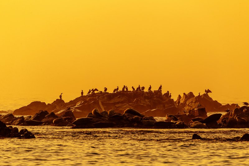 Место под солнцемphoto preview