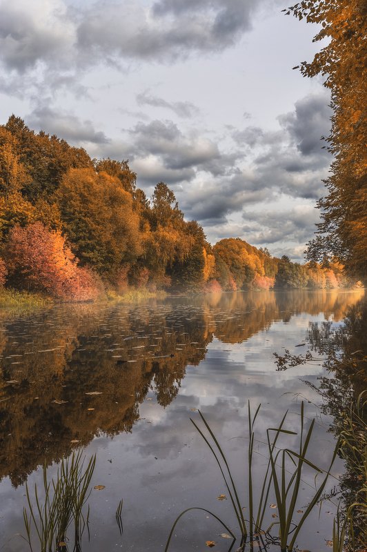 Осеньphoto preview