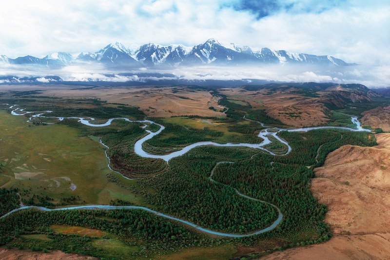 курай, алтай Курайская степьphoto preview