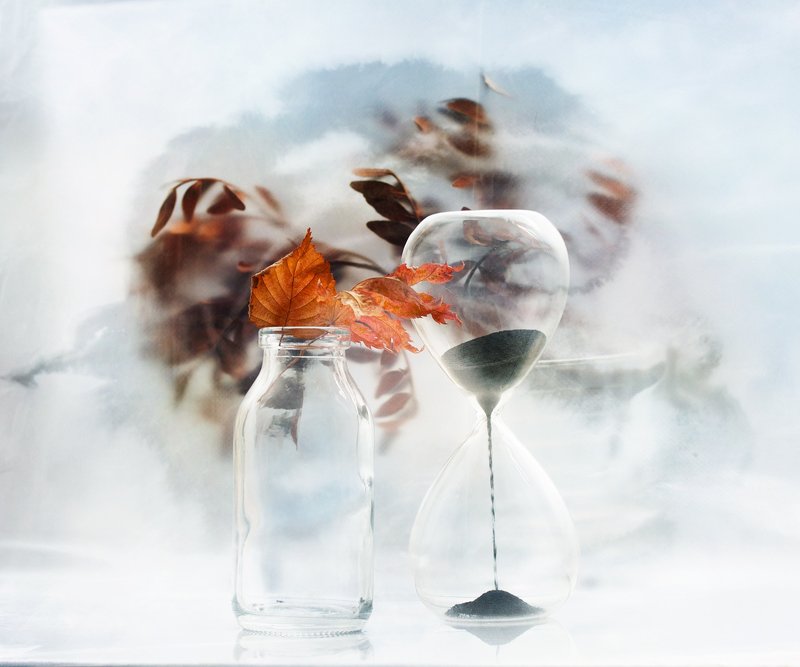 История одного дняphoto preview