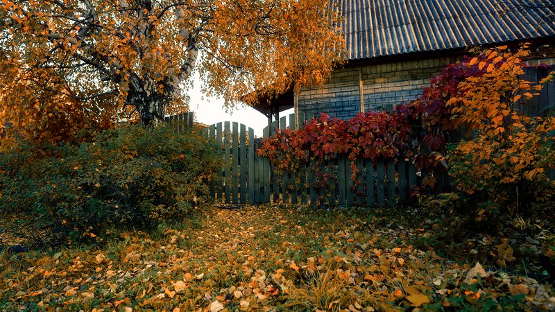 Краски осениphoto preview