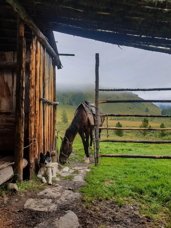 На привалеphoto preview