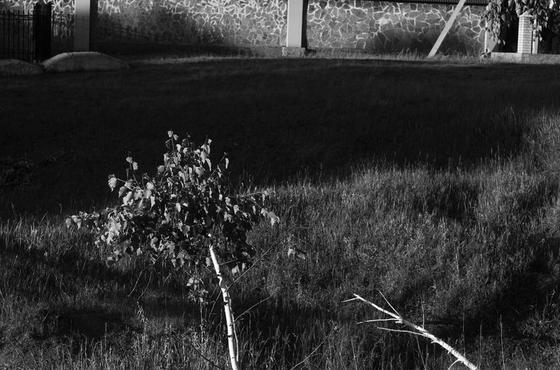 фотография художественная фотография черно-белая фотография photo preview