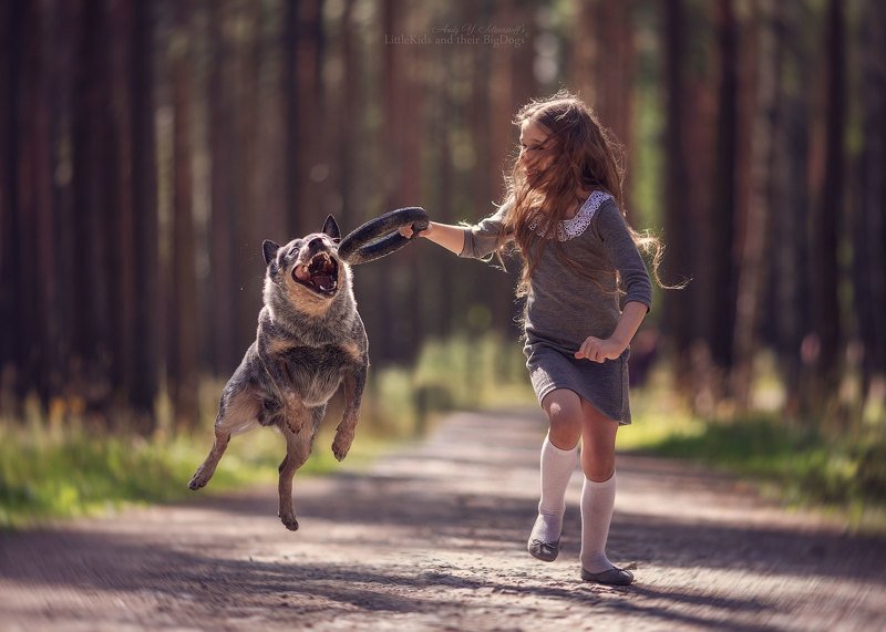 Pauline and her Bashar (Australian Cattle Dog)photo preview