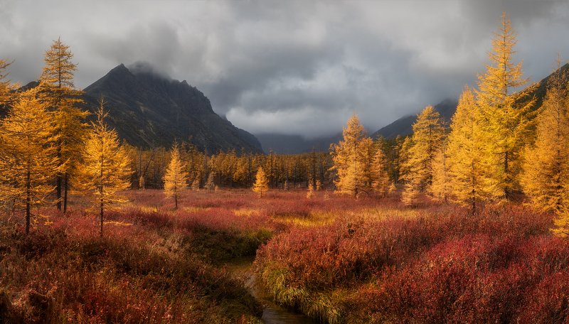 колыма, осень, озеро джека лондона Золотая осень на Колымеphoto preview