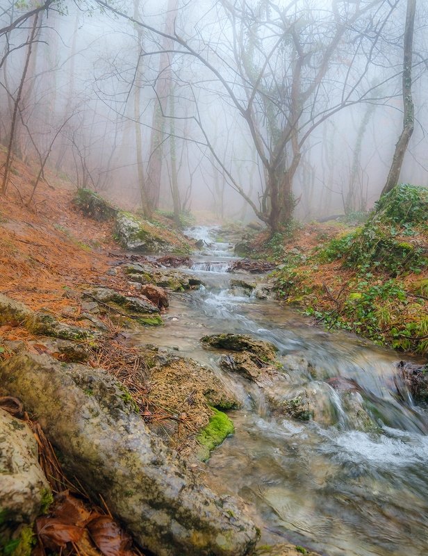 Туманный Темиар.photo preview