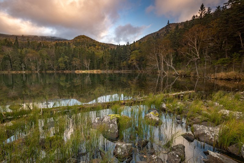 lake, landscape, nature, reflections, tree, water, sunrise, scenics, outdoors За час до снегаphoto preview