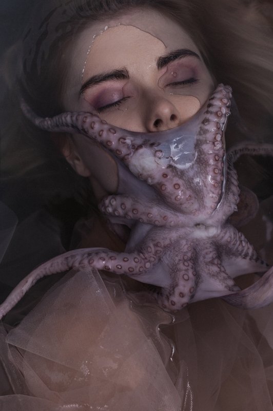 octopusphoto preview