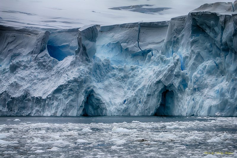 Антарктида 57 фото превью