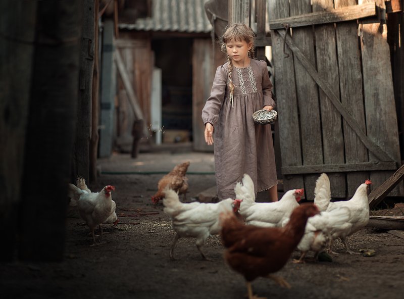 Девочка и курыphoto preview