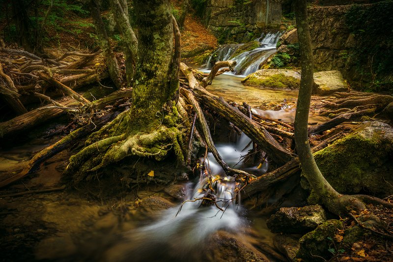 В ущелье.photo preview