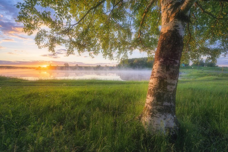 Встречая рассвет летним утромphoto preview