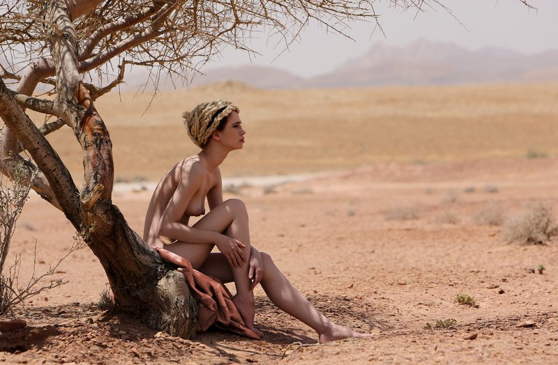 Пустыняphoto preview