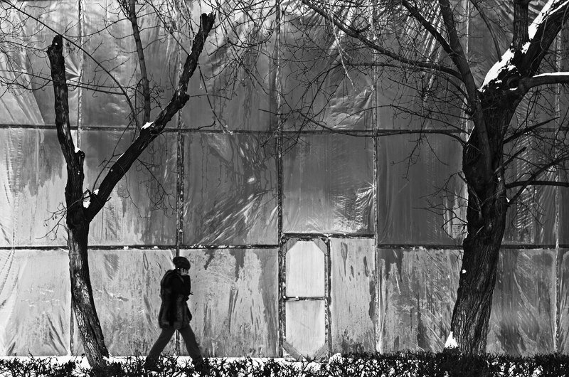 фотография, художественная, фотография, черно-белая, фотография, мороз ...photo preview