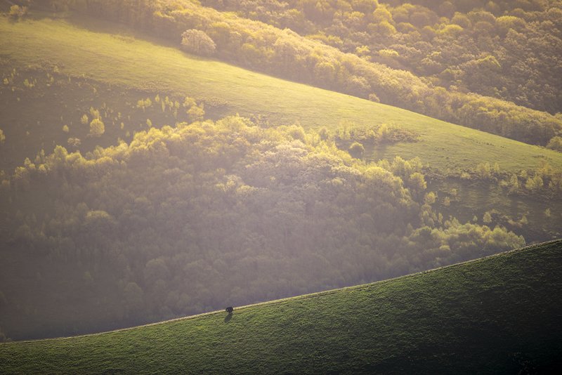 пейзаж Маркотхский хребетphoto preview