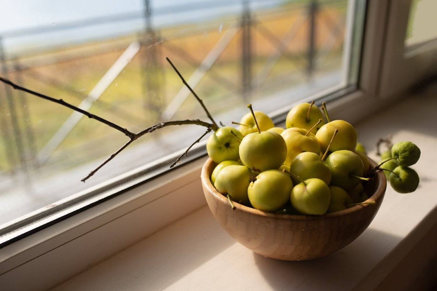 , Алёна Таланова