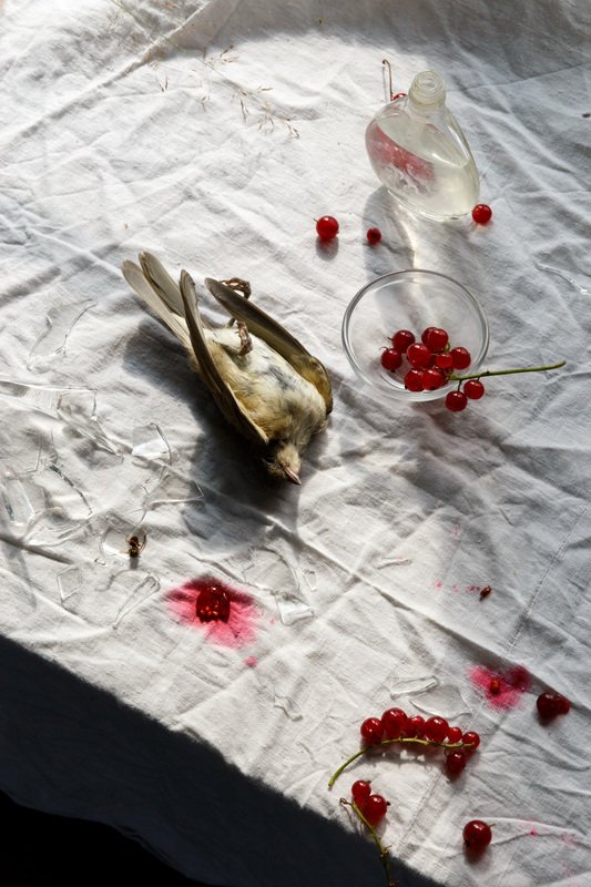 натюрморт, stilllife naturemorte с птичкойphoto preview
