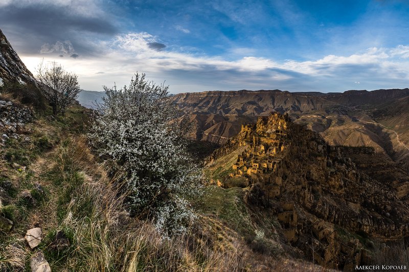 дагестан, кавказ, россия, закат, природа, пейзаж, весна, горы, панорама, dagestan, caucasus, russia, sunset, nature, landscape, spring, mountains, panorama Аул Гамсутльphoto preview