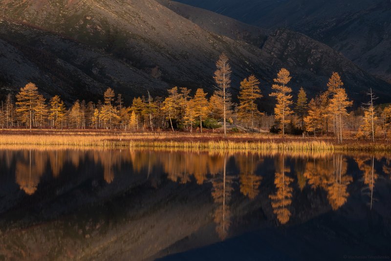 Осень на Колымеphoto preview