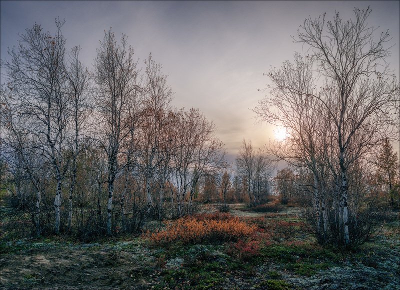 Ямал. 2019. фото превью