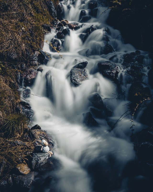 Trip with my Sheep :Dphoto preview