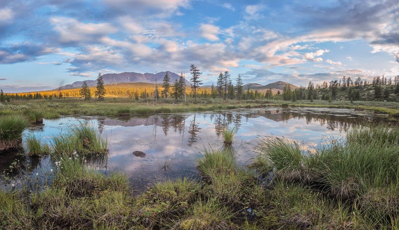 Без названия.photo preview