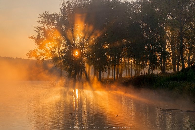 #landscape, #nature, #scenery, #forest, #wood, #autumn, #mist, #misty, #fog, #foggy, #river, #waterfall, #longexposure, #mountain, #vitosha, #bulgari, #aтуман, #лес, #oсень photo preview