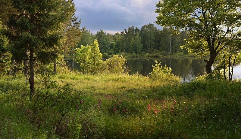 У озера. Вечер после дождя фото превью