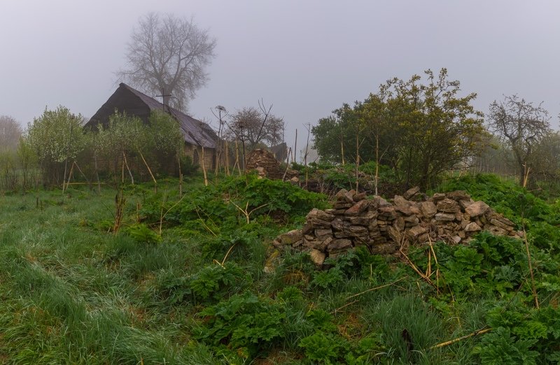 pskov, pleskau, псков, landscape, pskovregion, утро, туман, деревня д. Копаницыphoto preview