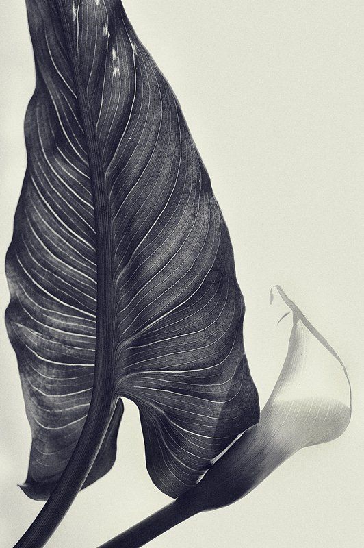 not lonely фото превью