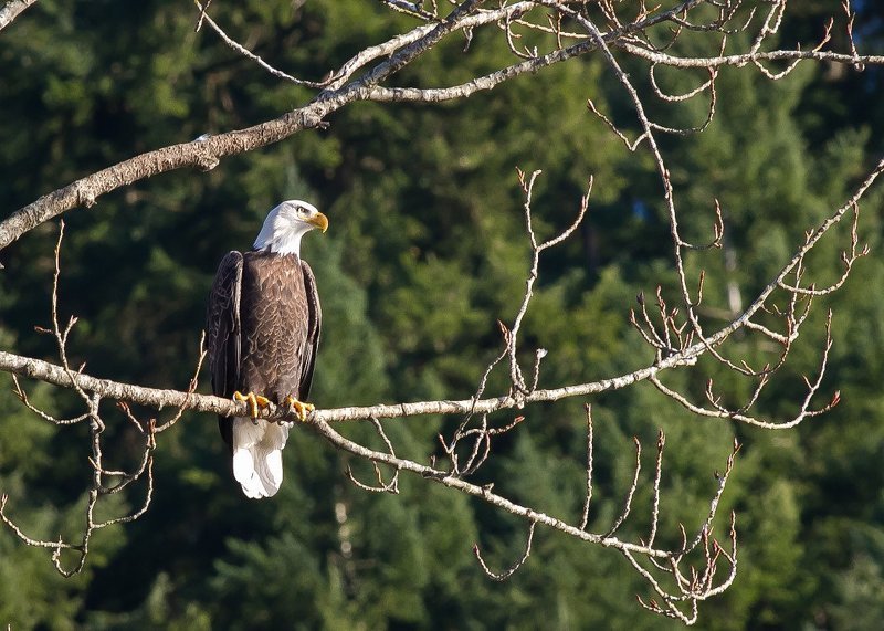 Мне сверху видно всё...photo preview