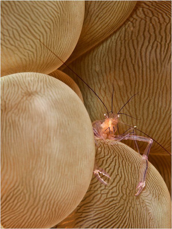 Охраняемая территорияphoto preview