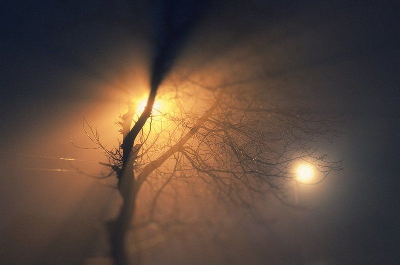 Ничего нетphoto preview