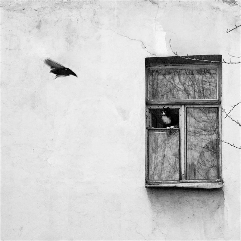 Улетающий обедphoto preview